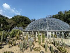 -深圳仙湖植物园