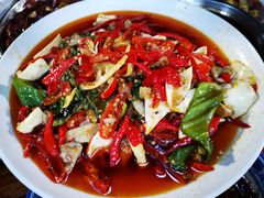 双椒双脆-三哥田螺(北书院街店)