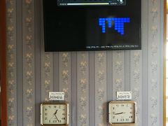 -金山农民画村-枫泾波兰倒置屋