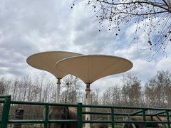 -秦皇岛野生动物园