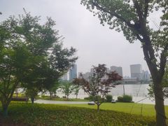 -北外滩滨江绿地