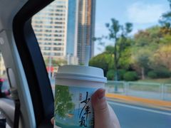 -茶颜悦色(高铁南站店)