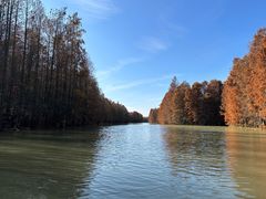 -上海海湾国家森林公园