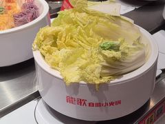 -龍歌自助小火锅(雨花台江南虹悦城店)