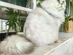 -小时光咖啡馆(北锣鼓巷店)
