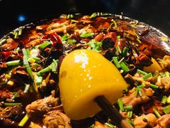 -一只烧鸡公(解放碑店)