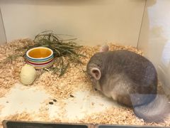 -龙猫仔乐园(惠福东路店)