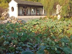 -八大山人梅湖景区