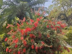 -东莞植物园