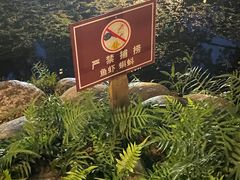 -成都市活水公园