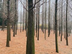 -大连植物园