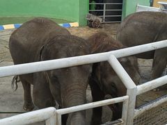 -大连森林动物园