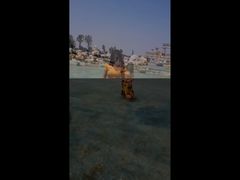 -渔岛海洋度假区