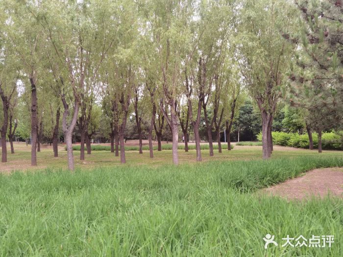 坝河休闲公园图片