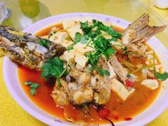 红烧狗鱼-煲来饱去冷水鱼