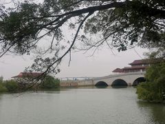 -大湾区中央湿地公园