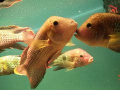 -多彩贵州城极地海洋世界