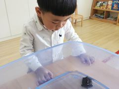 -新爱婴早教中心(红山园)