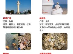 -巧克力渔家.小船海鲜胶东菜(万平口店)