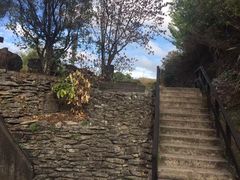 -怀托摩萤火虫洞