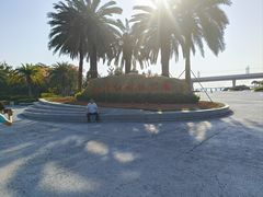 -宝安西湾红树林湿地公园