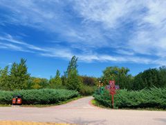 -永定河休闲森林公园