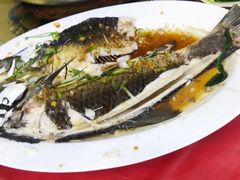 -银峰农庄·特色烧鸡·鲜无花果浸鸡