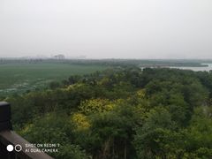 -天津东丽湖风景区