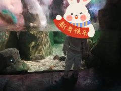 -沈阳海洋探索中心