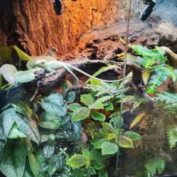 -酷嗒动物文化乐园(cutezoo西溪乐天城店)