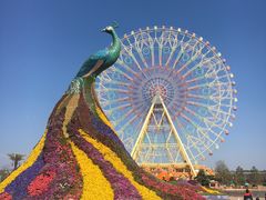 -七彩云南欢乐世界