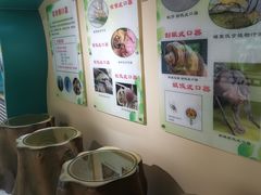 -上海昆虫博物馆