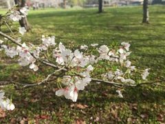 -共青国家森林公园-售票处