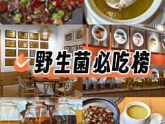 -鲜菌江湖正宗野生菌火锅