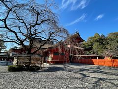-富士山本宫浅间大社
