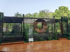-深圳仙湖植物园