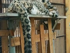 -青藏高原野生动物园