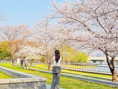-蠡湖大桥公园