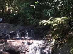 -乌鲁淡布隆国家公园