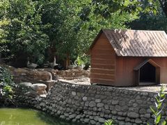 -静之湖湖畔餐厅