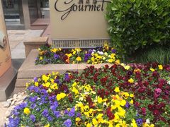 -西点坊(浦东香格里拉店)