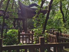 -上海佘山国家森林公园天马山园