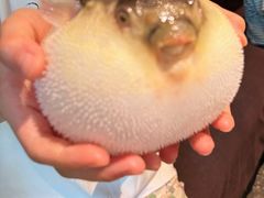 -永安鱼庄·镇江菜(东吴路店)