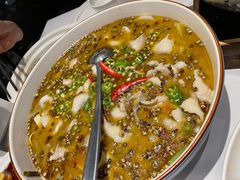藤椒江团鱼-眉州东坡(上海中心店)