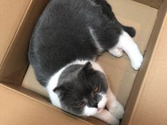 -大连市皮肤病医院