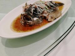 笋壳鱼-光明邨大酒家(汇阳广场店)