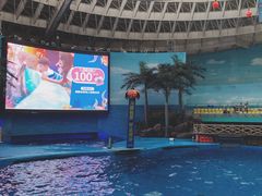 -海合安成都极地海洋公园