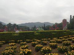 -东南花都花博园