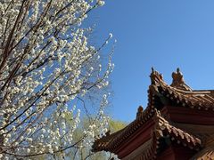 -桃花堤公园
