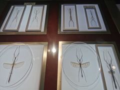 -上海昆虫博物馆